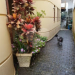 Sobrado à venda com 3 suítes em Lar São Paulo, São Paulo, SP