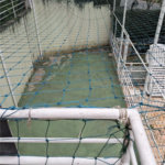 Casa à venda com 4 quartos, sendo 1 suíte, no condomínio Villas IV, São Paulo - SP