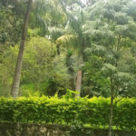 Sítio à venda com 9 quartos, sendo 5 suítes, em Portão, Atibaia, SP