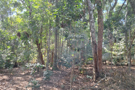 Chácara à venda ou para alugar com 3 quartos, sendo 1 suíte,  em Parque Residencial Itapeti, Mogi das Cruzes, SP