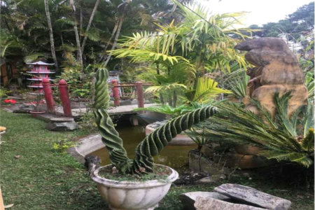 Sítio à venda com 5 quartos, sendo 4 suítes,  em Cocuera, Mogi das Cruzes, SP