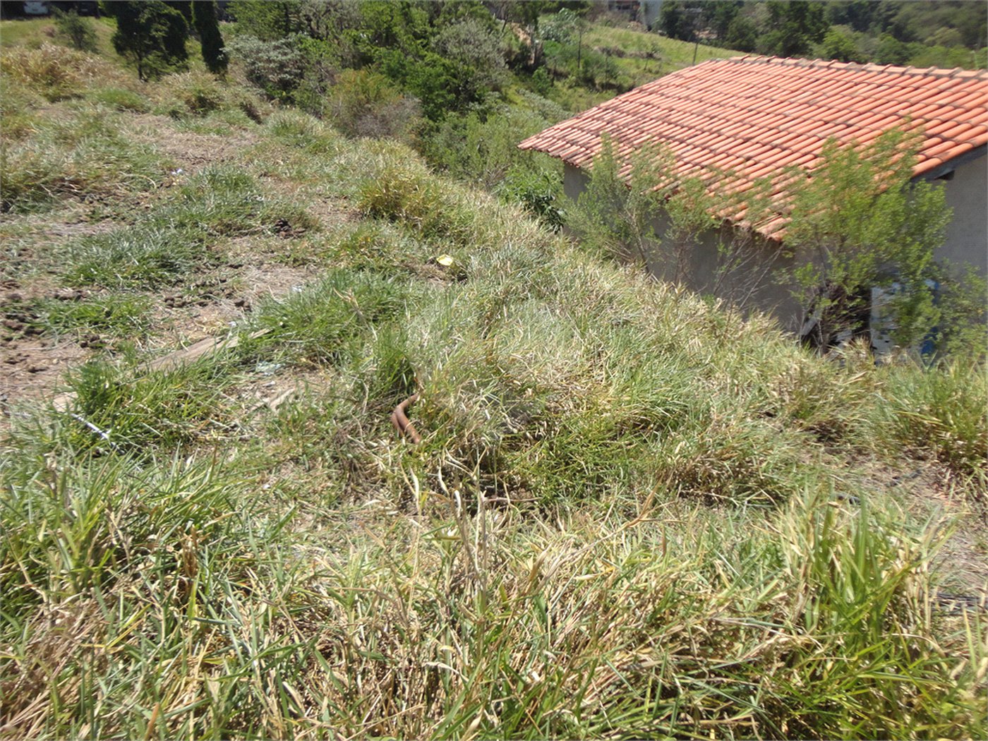 Chácara à venda com 4 quartos em Vista Alegre, Vinhedo, SP