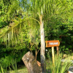 Hotel à venda com 15 suítes em Jardim Maristela, Atibaia, SP