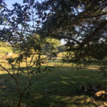 Terreno à venda em Chaperó, Itaguaí, RJ