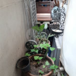 Apartamento à venda com 2 quartos em Vila Isabel, Rio de Janeiro, RJ