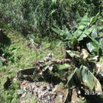 Terreno à venda em Horto Florestal, São Paulo, SP