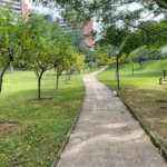 Cobertura à venda com 3 suítes em Jardim Vitória Régia, São Paulo, SP
