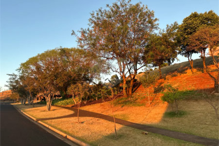 Terreno à venda em Residencial e Empresarial Alphaville, Ribeirão Preto, SP