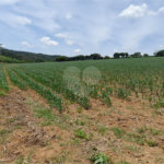 Área de Terra à venda em Paraíso das Aves, Itatiba, SP