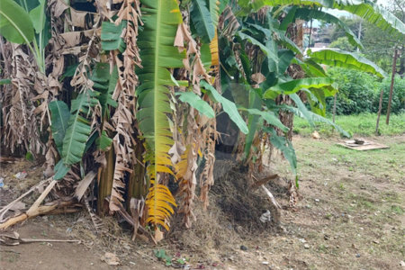 Terreno à venda em Santíssimo, Rio de Janeiro, RJ