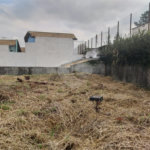 Terreno à venda com 1 suíte em Tucuruvi, São Paulo, SP