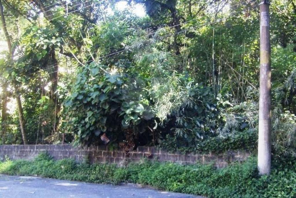 Terreno à venda em Horto Florestal, São Paulo, SP