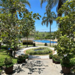 Apartamento à venda com 2 suítes em Vila Oliveira, Mogi das Cruzes, SP