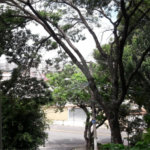 Casa à venda com 3 quartos em Jardim Vila Galvão, Guarulhos, SP