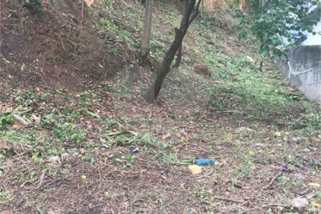 Terreno à venda em Vila Gustavo, São Paulo, SP