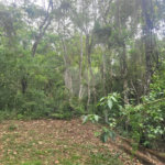 Terreno à venda no condomínio Sausalito, Mairiporã - SP
