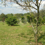Chácara à venda com 3 quartos, sendo 1 suíte,  em Planalto Verde, São Roque, SP