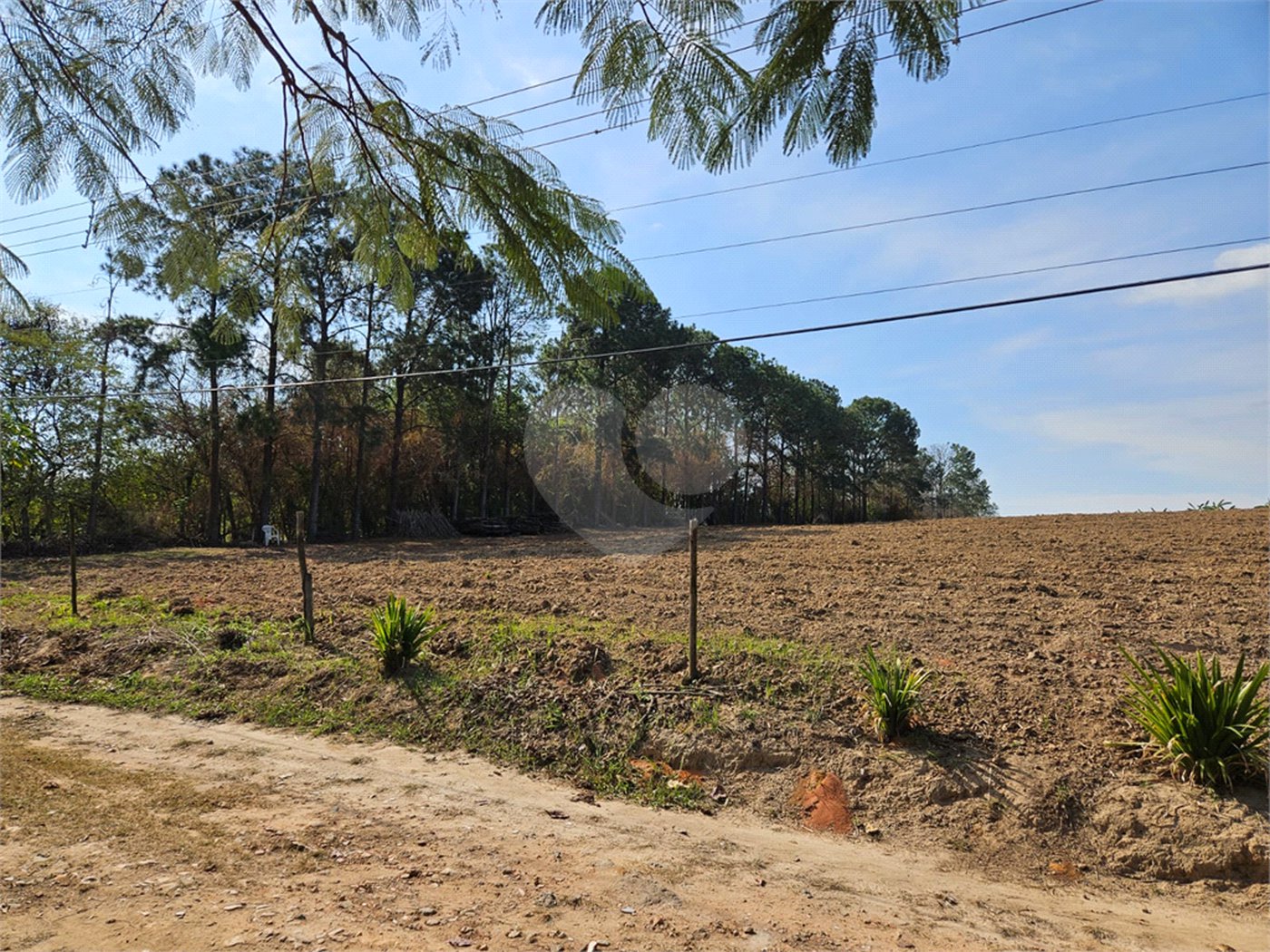 Sítio à venda em Mato Dentro, Indaiatuba, SP