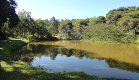 Chácara à venda com 4 suítes em Monte Alegre, Vinhedo, SP