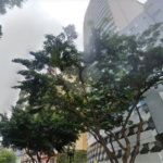 APARTAMENTO A VENDA EM SP CENTRO