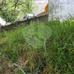 Terreno à venda ou para alugar no Centro, Atibaia, SP