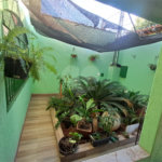 Casa à venda com 2 quartos em Sumarezinho, Ribeirão Preto, SP