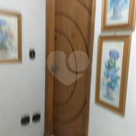 Apartamento para alugar com 3 quartos em Tucuruvi, São Paulo, SP