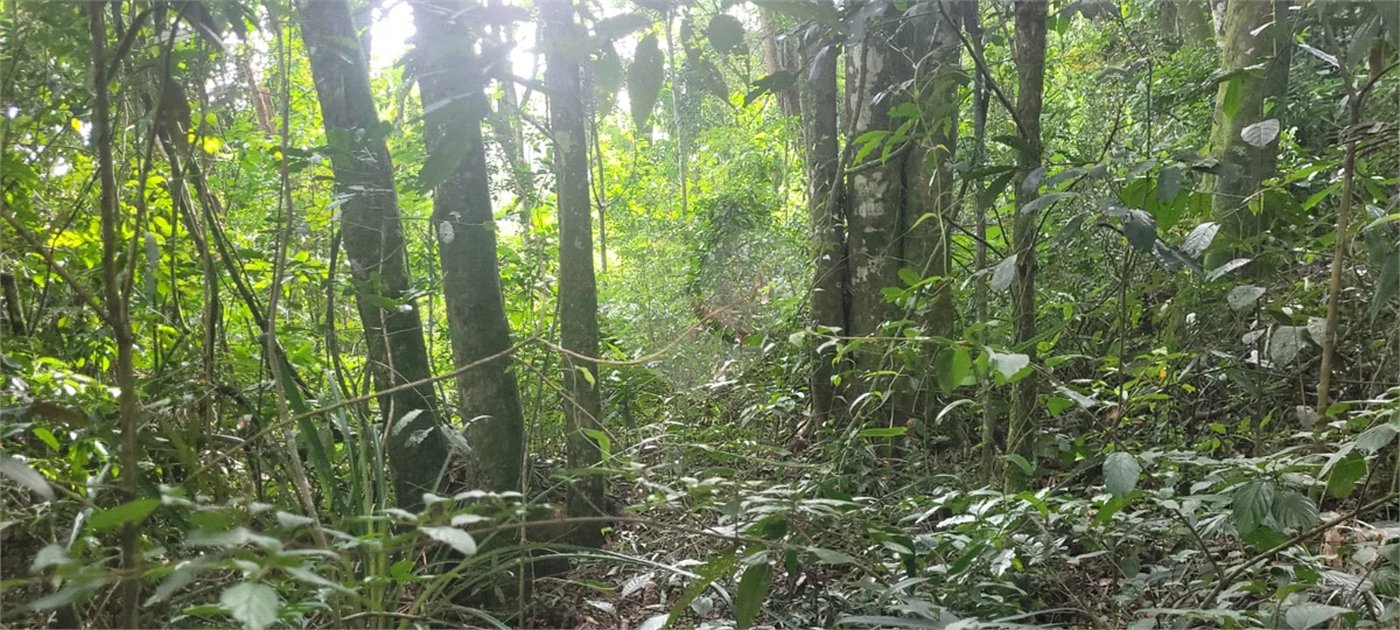 Terreno à venda em Mantiqueira, Mairiporã, SP