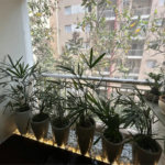 Apartamento à venda com 1 suíte em Vila Polopoli, São Paulo, SP