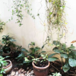 Sobrado à venda com 4 quartos, sendo 2 suítes, em Jardim Prudência, São Paulo, SP