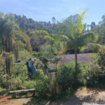 Chácara à venda com 7 quartos, sendo 1 suíte, no Centro (mailasqui), São Roque, SP