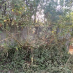 Terreno à venda em Roseira, Mairiporã, SP