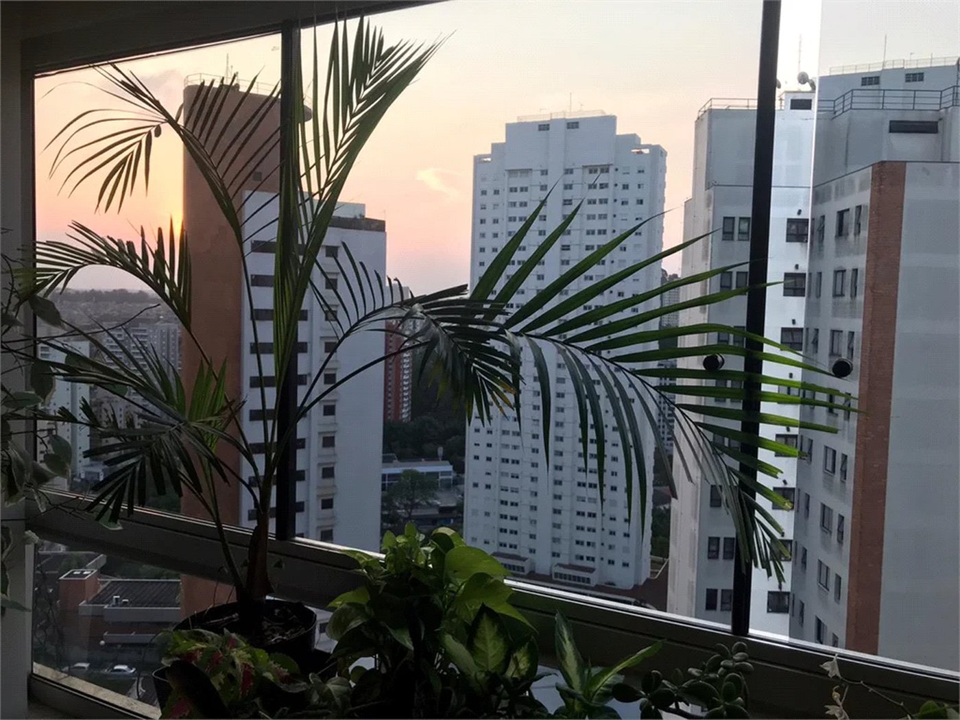 Apartamento à venda com 3 quartos, sendo 1 suíte, em Vila Andrade, São Paulo, SP
