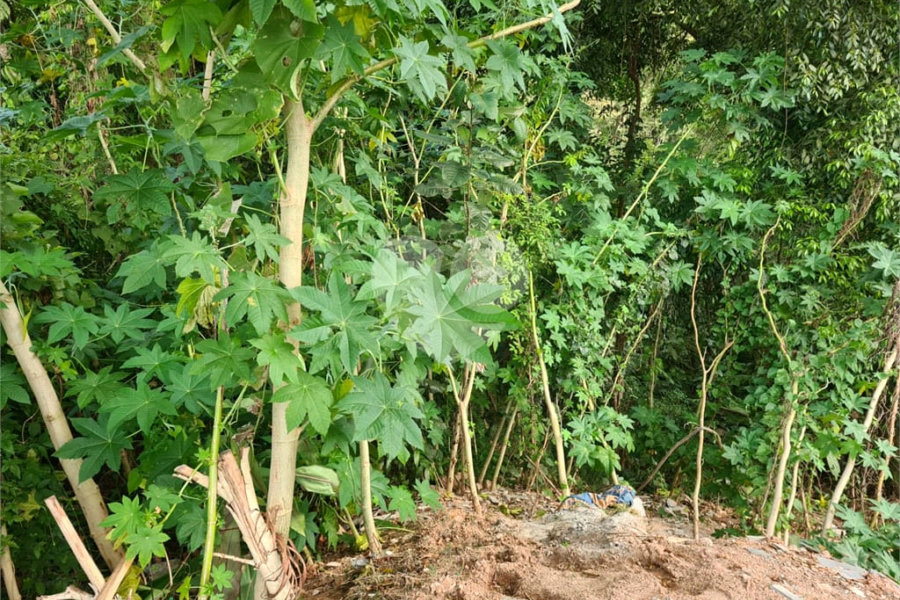 Terreno à venda no condomínio Gleba B1, Mairiporã - SP