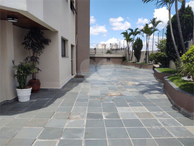 Apartamento à venda com 3 quartos, sendo 1 suíte,  em Mandaqui, São Paulo, SP