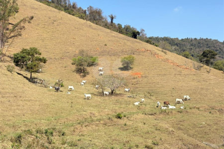 Sítio à venda com 3 suítes em Bairro do Cambará, São Roque, SP