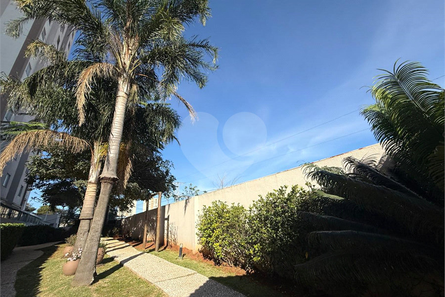Apartamento para alugar com 3 quartos, sendo 1 suíte, em Vila Guilherme, São Paulo, SP