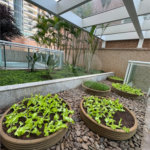 Apartamento à venda com 3 suítes em Jardim Anália Franco, São Paulo, SP
