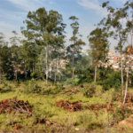 Casa à venda com 3 suítes no condomínio Central Parque, Salto - SP