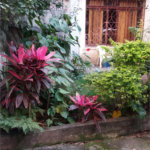 Casa Térrea à venda com 3 quartos, sendo 1 suíte, em Água Fria, São Paulo, SP