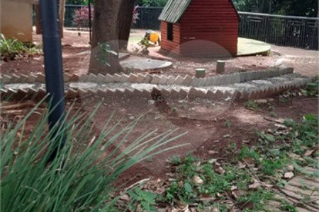 Apartamento à venda com 4 quartos, sendo 3 suítes, em Cambuci, São Paulo, SP