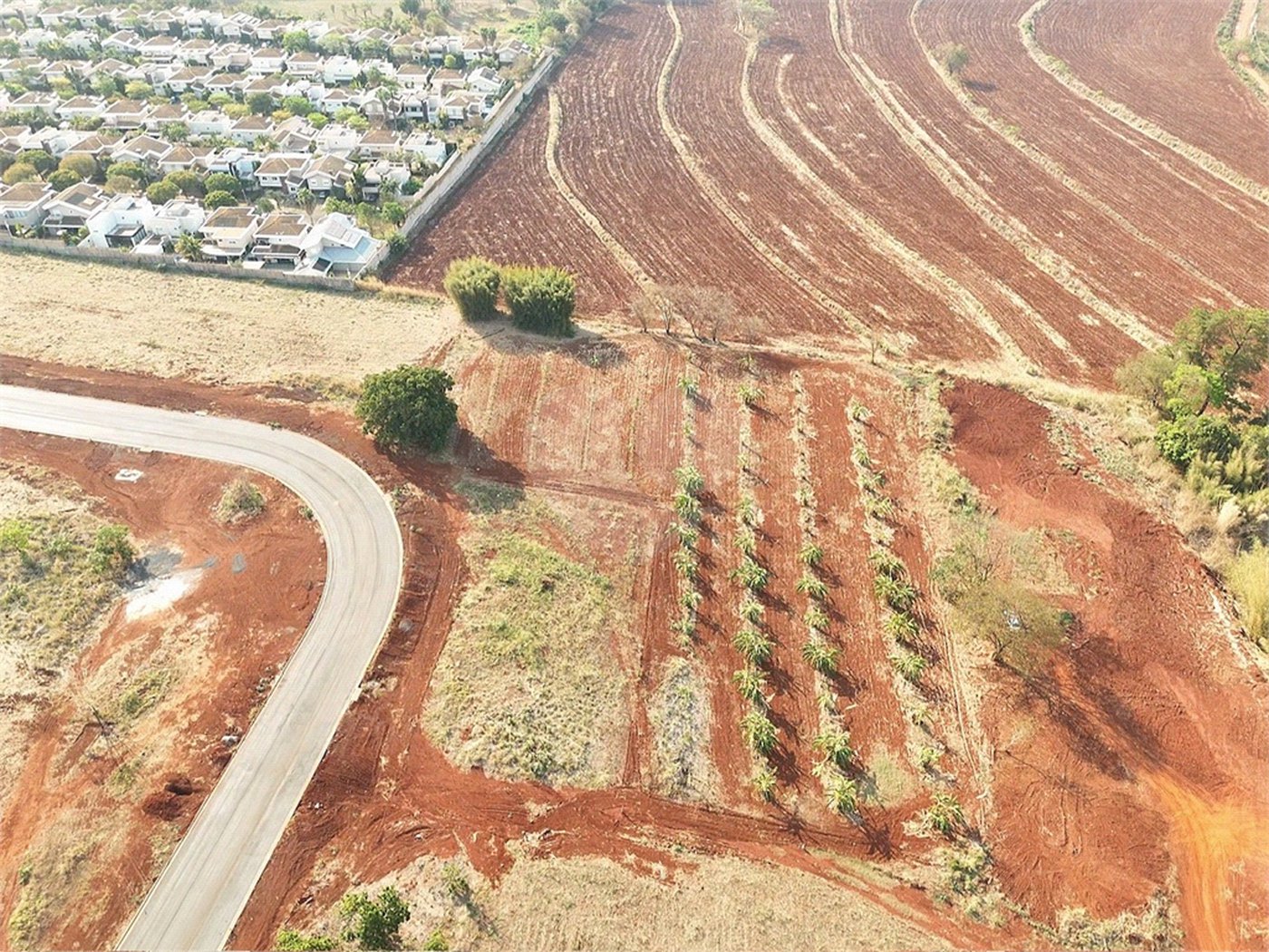 Terreno à venda em Vila do Golf, Ribeirão Preto, SP