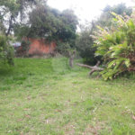 Terreno para alugar em Jardim Rene, São Roque, SP