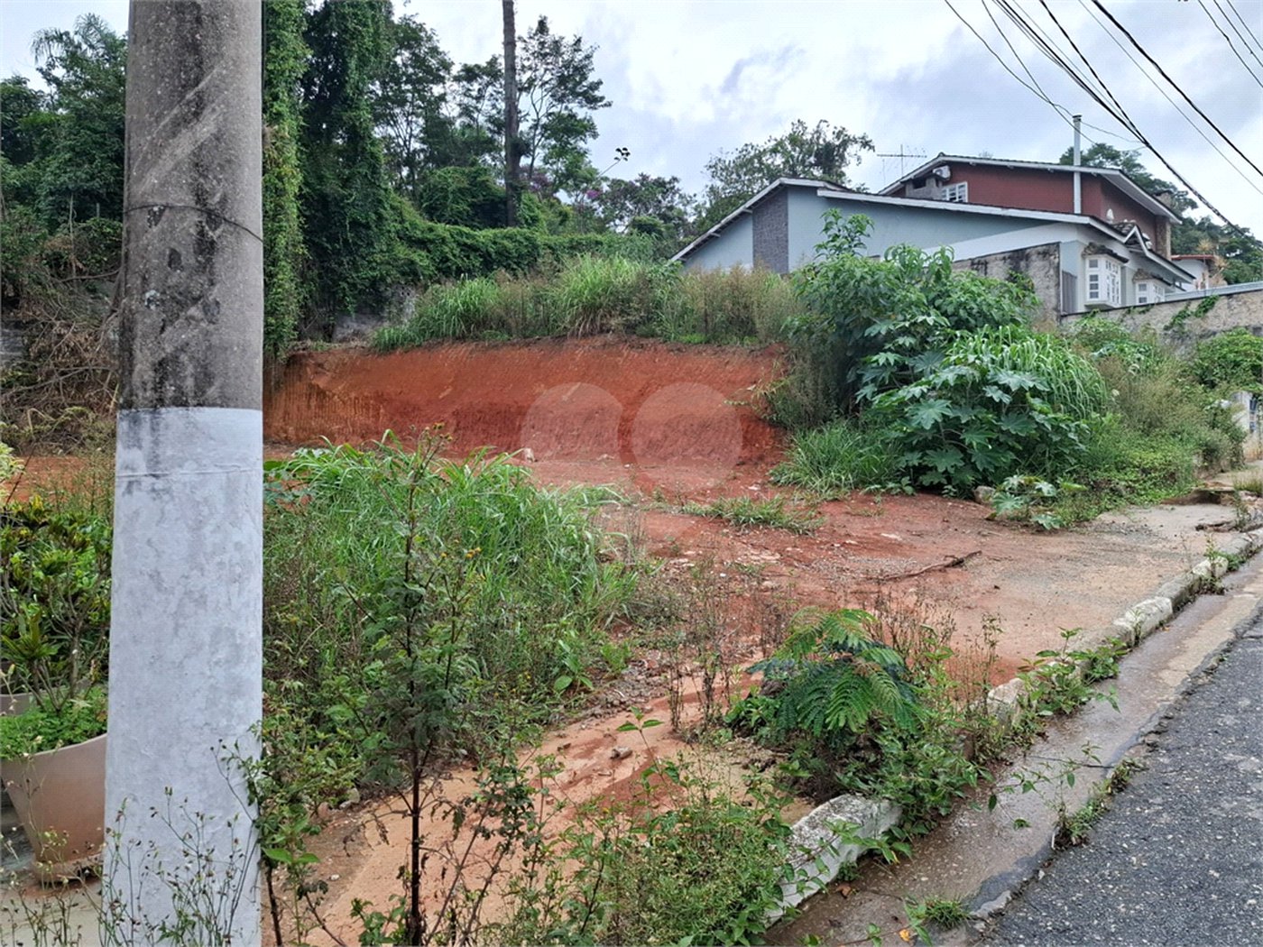 Terreno à venda em Vila Albertina, São Paulo, SP
