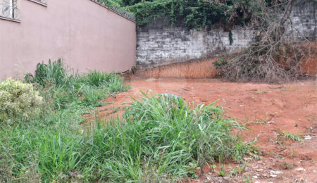 Terreno à venda em Vila Albertina, São Paulo, SP