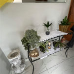 Casa à venda com 5 quartos em Vila Granada, São Paulo, SP