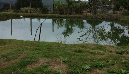 Chácara à venda com 3 quartos, sendo 1 suíte,  em Área Rural de Sarapuí, Sarapuí, SP