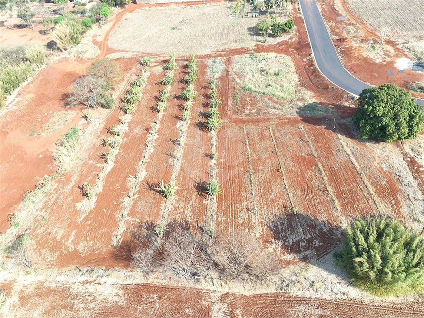 Terreno à venda em Vila do Golf, Ribeirão Preto, SP