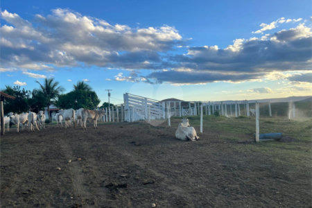 Fazenda à venda com 6 quartos, sendo 1 suíte,  no Centro, Capitão Enéas, MG