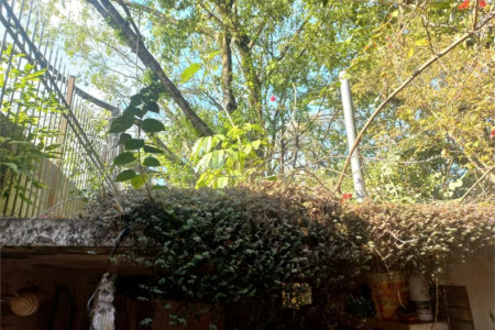 Casa à venda com 3 quartos, sendo 2 suítes,  em Morumbi, São Paulo, SP
